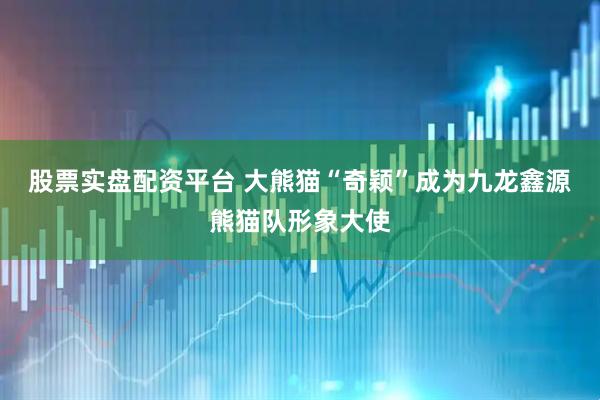 股票实盘配资平台 大熊猫“奇颖”成为九龙鑫源熊猫队形象大使